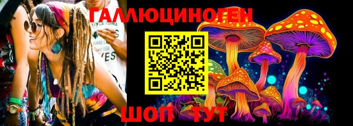Псилоцибиновые грибы Cubensis  Вход с VPN  Дзержинск 