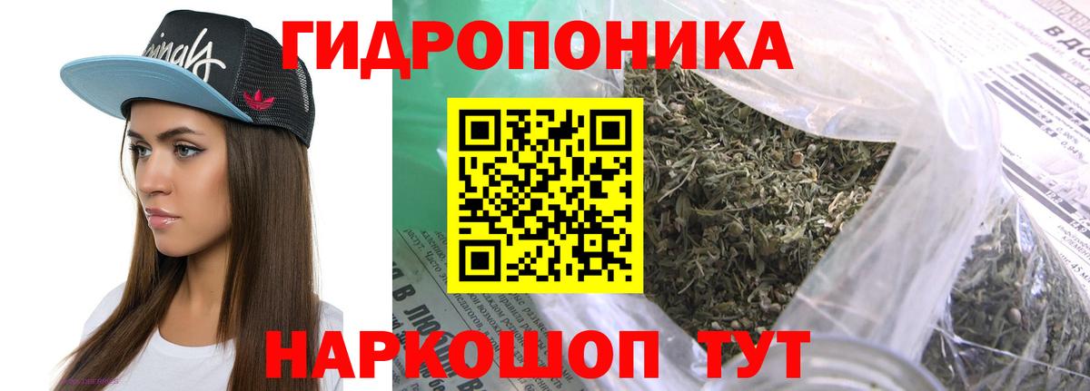 Бошки Шишки планчик  Вход с VPN  Каннабис OG Kush  Дзержинск 